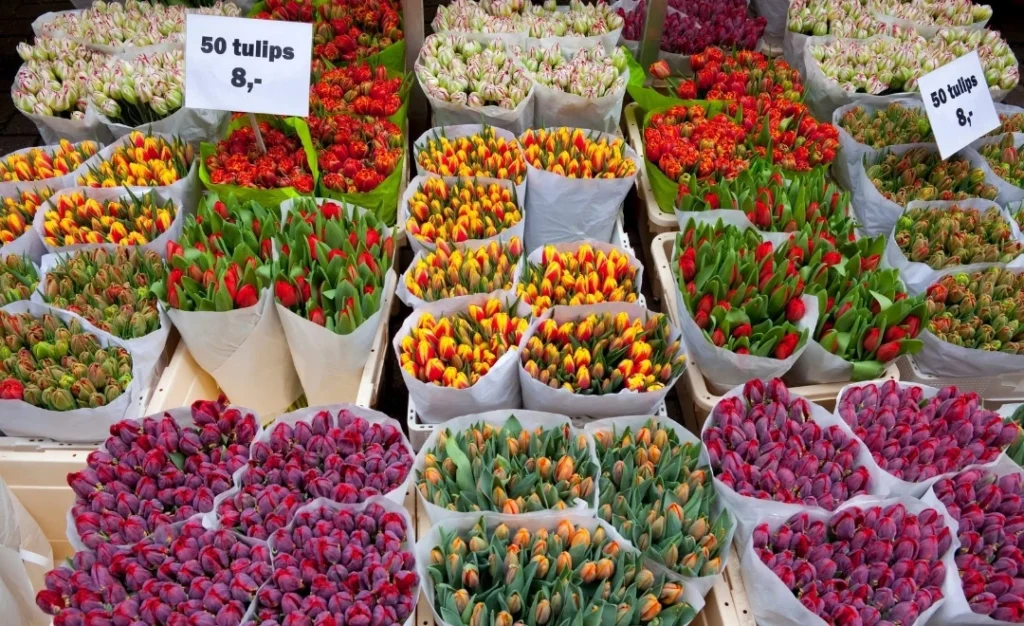 Flower-Market-Bloemenmarkt