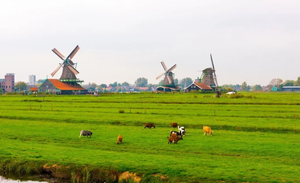 Zaanse-Schans
