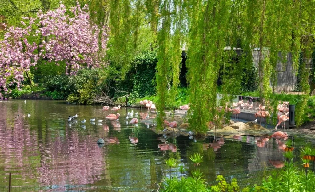 artis-hayvanat-bahcesi